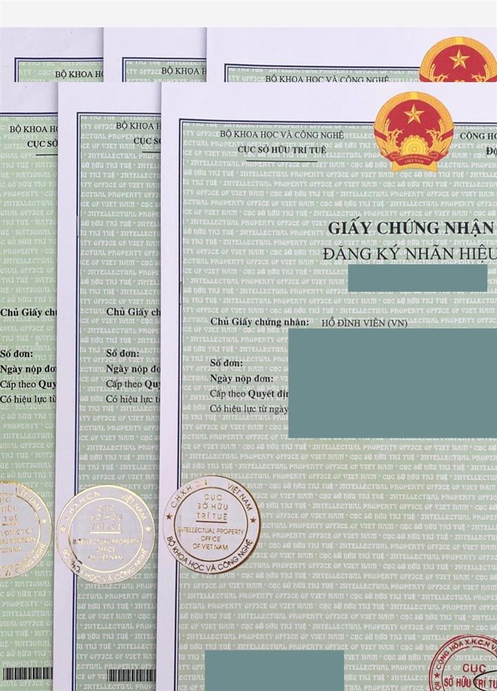 Quyền sở hữu trí tuệ-Giấy đăng ký nhãn hiệu